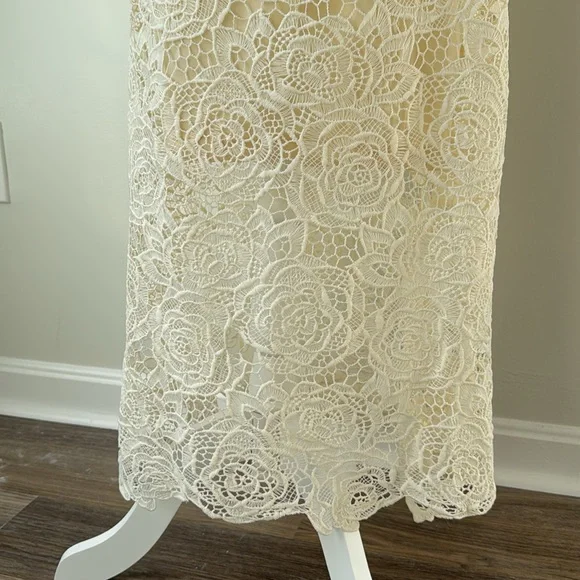 Chicwish Rose Cutwork Lace Maxi Skirt - Picture 4 of 5